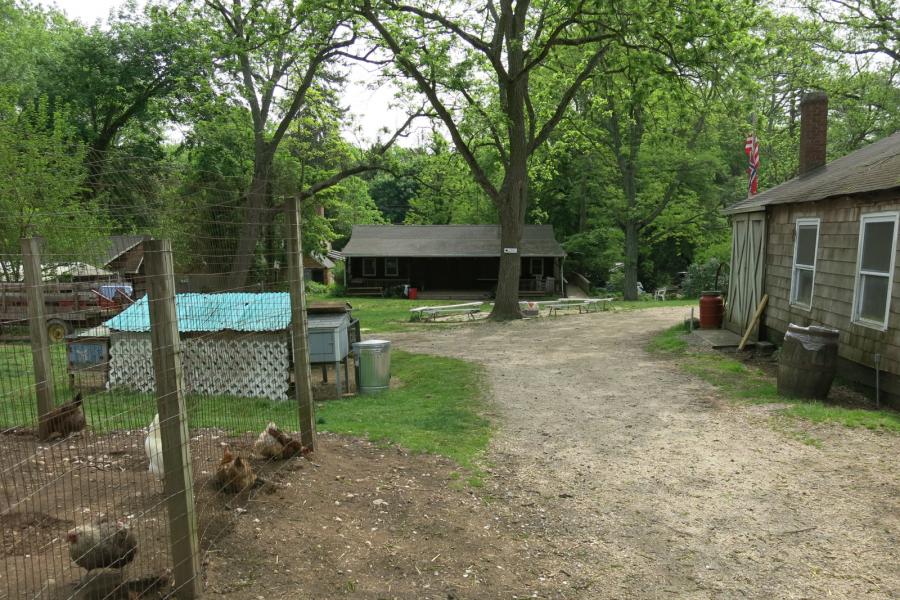 farm, farmhouse, stable, barn, 