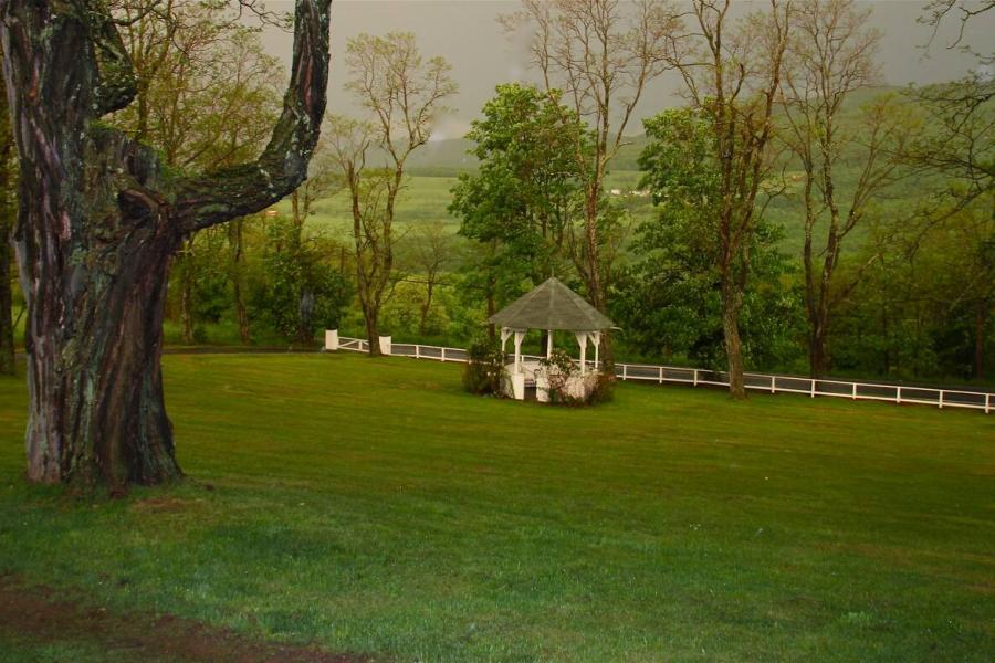 victorian, traditional, white, garden, 