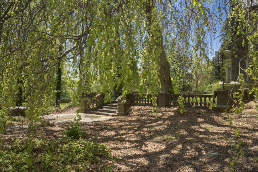 mansion, estate, empty room, traditional, grand, garden, 