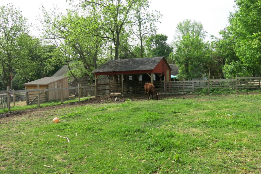 farm, farmhouse, stable, barn, 