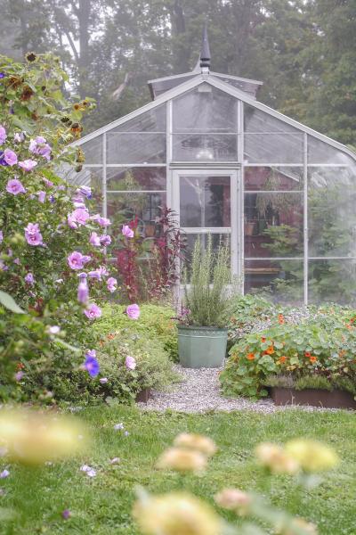 farm, greenhouse, field, rural, country, kitchen, 