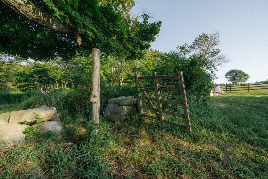 country, farm, horse, rustic, library, barn, stable, water, stone, rolling hill, greenhouse, boathouse, 