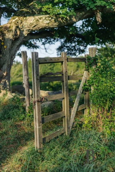 country, farm, horse, rustic, library, barn, stable, water, stone, rolling hill, greenhouse, boathouse, 