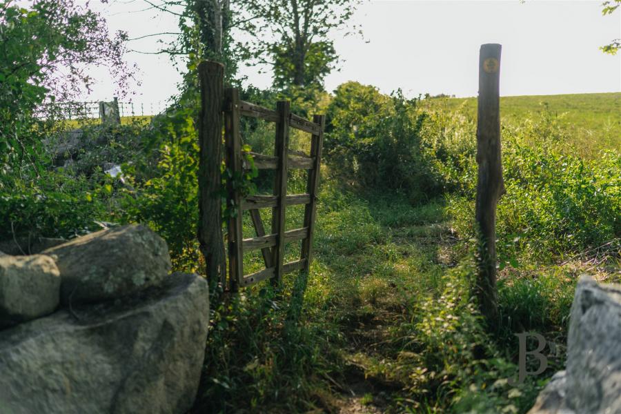 country, farm, horse, rustic, library, barn, stable, water, stone, rolling hill, greenhouse, boathouse, 