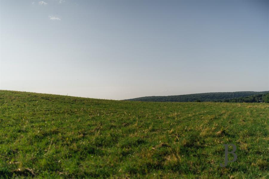 country, farm, horse, rustic, library, barn, stable, water, stone, rolling hill, greenhouse, boathouse, 