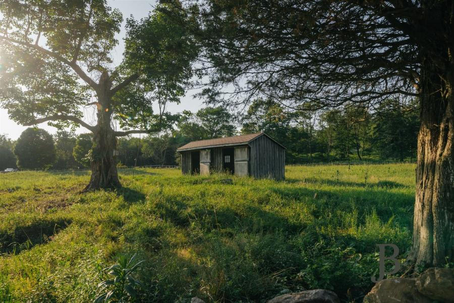 country, farm, horse, rustic, library, barn, stable, water, stone, rolling hill, greenhouse, boathouse, 