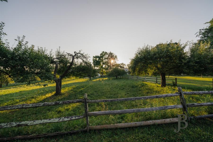 country, farm, horse, rustic, library, barn, stable, water, stone, rolling hill, greenhouse, boathouse, 