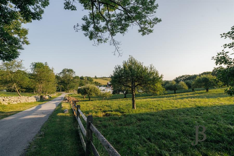 country, farm, horse, rustic, library, barn, stable, water, stone, rolling hill, greenhouse, boathouse, 