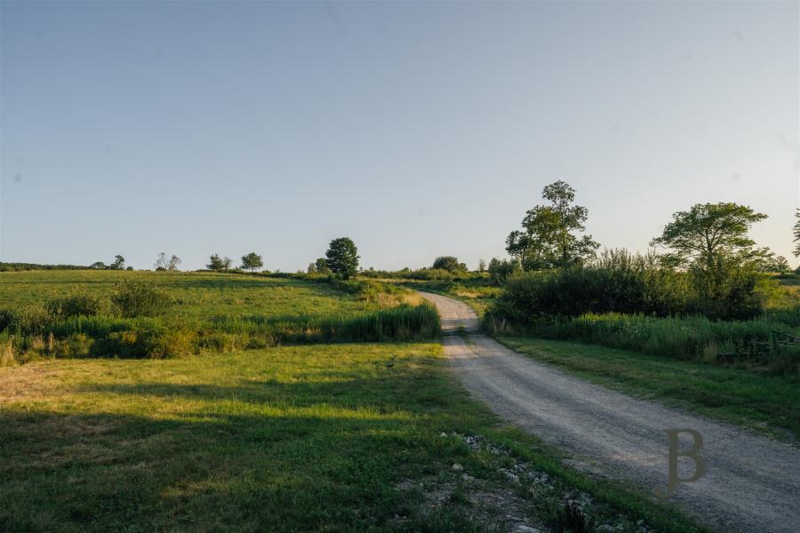 country, farm, horse, rustic, library, barn, stable, water, stone, rolling hill, greenhouse, boathouse, 