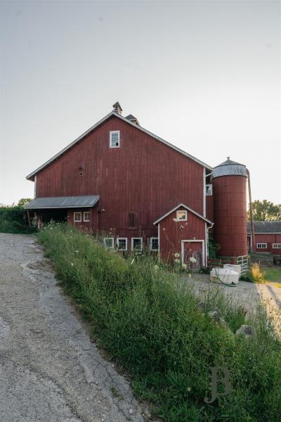 country, farm, horse, rustic, library, barn, stable, water, stone, rolling hill, greenhouse, boathouse, 