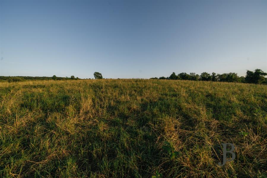 country, farm, horse, rustic, library, barn, stable, water, stone, rolling hill, greenhouse, boathouse, 