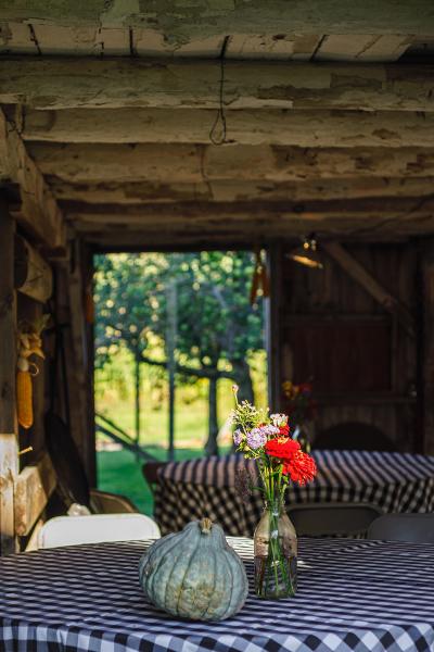 farm, farmhouse, barn, field, contemporary, light, airy, 