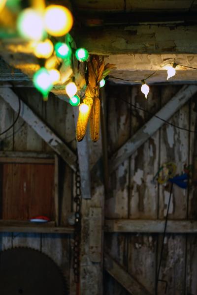 farm, farmhouse, barn, field, contemporary, light, airy, 