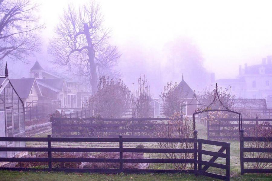 farm, greenhouse, field, rural, country, kitchen, 