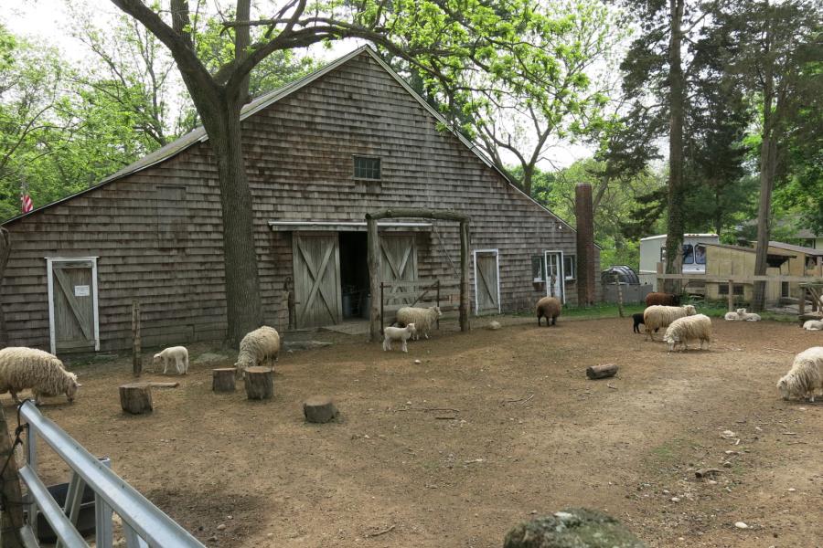 farm, farmhouse, stable, barn, 