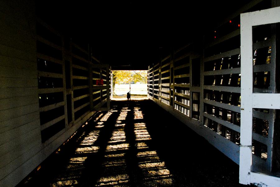 farm, farmhouse, barn, field, contemporary, light, airy, 