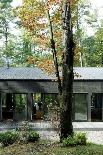 cabin, glass, wooded, light, airy, contemporary, 