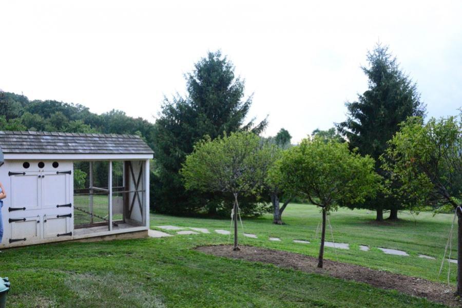 farm, farmhouse, barn, pool, field, fireplace, traditional, deck, patio, 