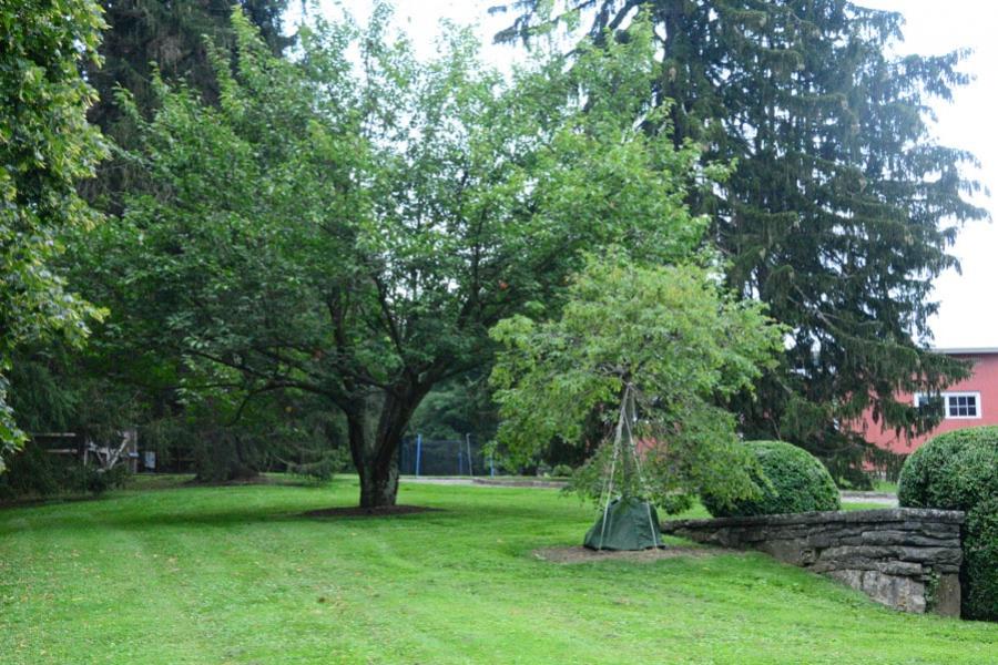 farm, farmhouse, barn, pool, field, fireplace, traditional, deck, patio, 