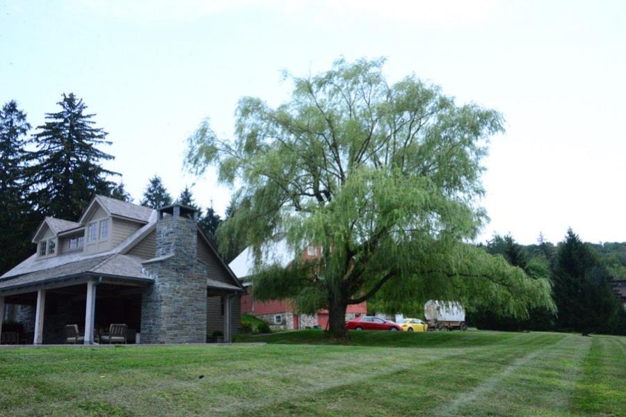 farm, farmhouse, barn, pool, field, fireplace, traditional, deck, patio, 