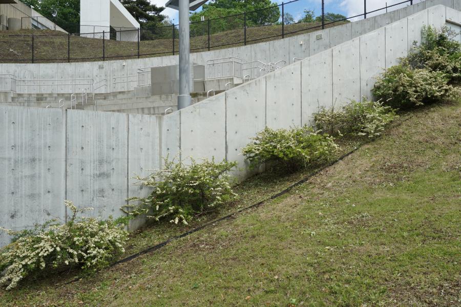 concrete, modern, museum, water, staircase, industrial, 