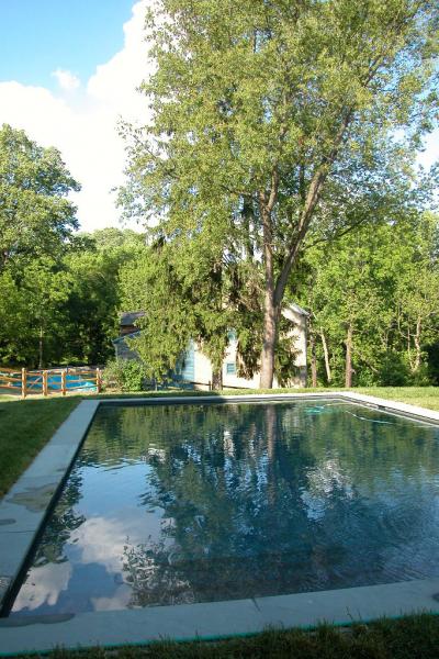 farm, barn, pool, rustic, 