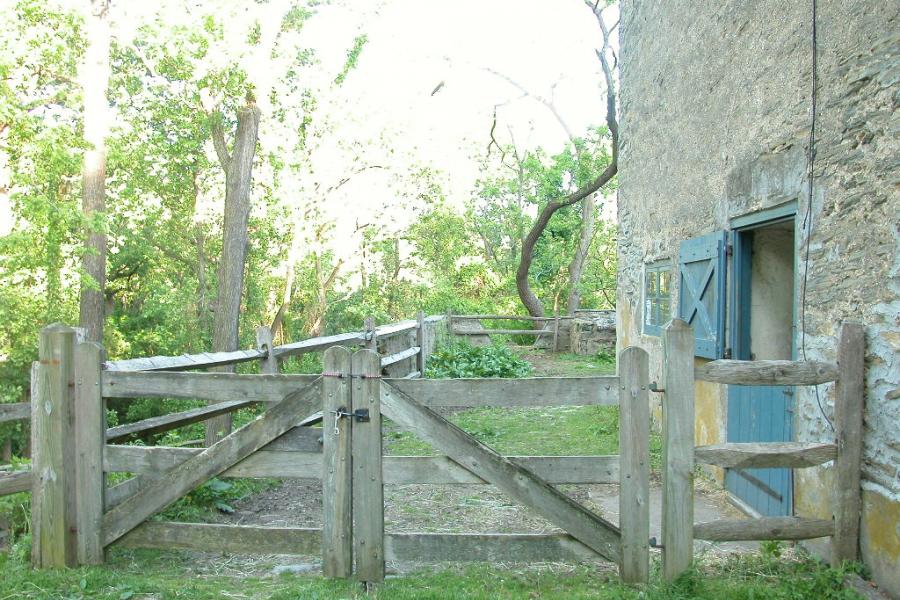 farm, barn, pool, rustic, 