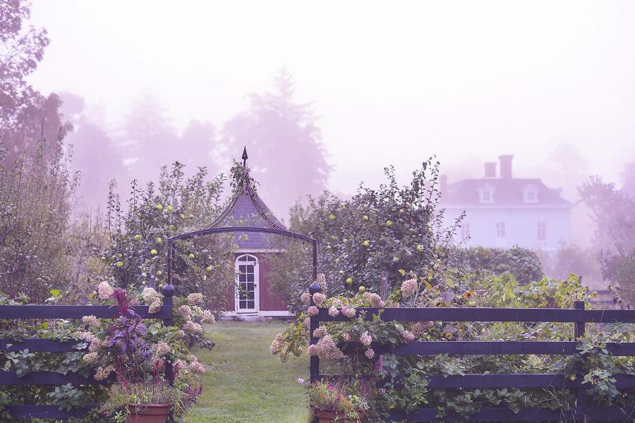 farm, greenhouse, field, rural, country, kitchen, 