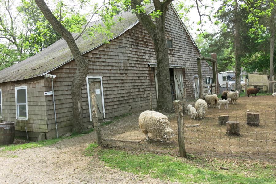 farm, farmhouse, stable, barn, 