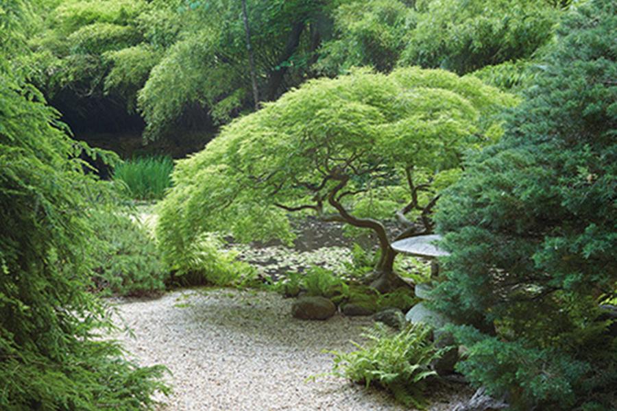 garden, zen, bridge, wooded, 