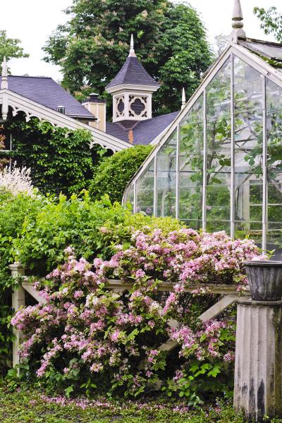 farm, greenhouse, field, rural, country, kitchen, 