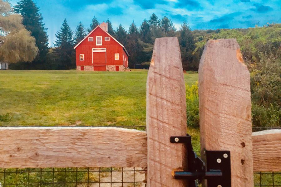 rural, farm, barn, pool, rustic, field, kitchen, 