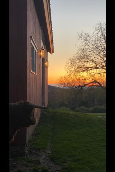 farm, farmhouse, barn, pool, field, fireplace, traditional, deck, patio, 