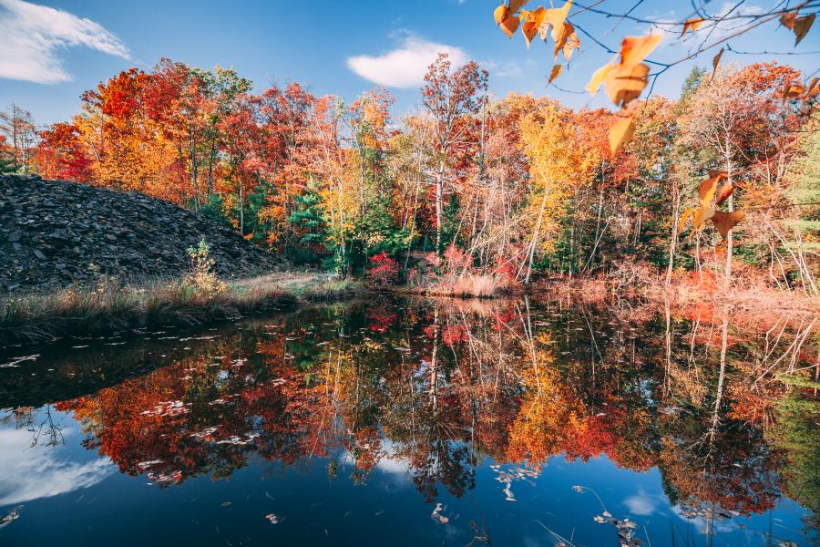 cabin, barn, lake, water, rural, country, wooded, deck, 