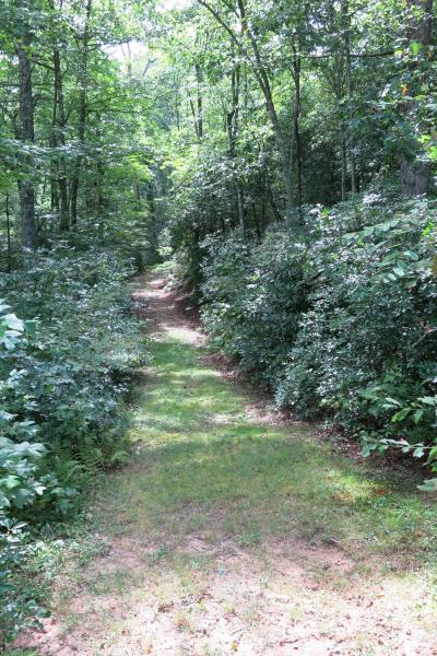 rural, wooded, porch, kitchen, bathroom, 