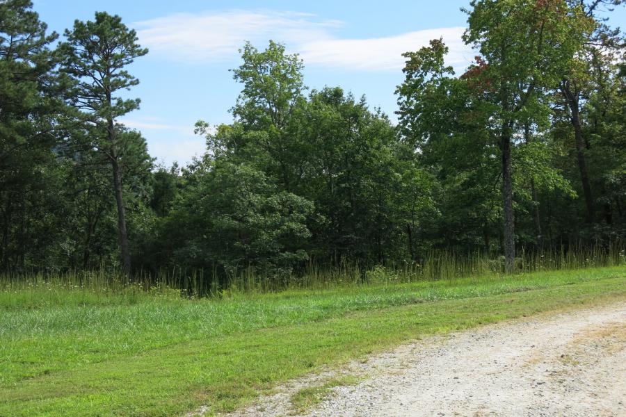 rural, wooded, porch, kitchen, bathroom, 