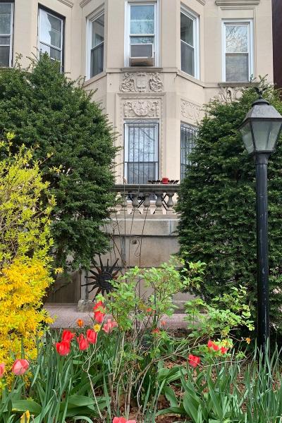 brownstone, townhouse, contemporary, light, 