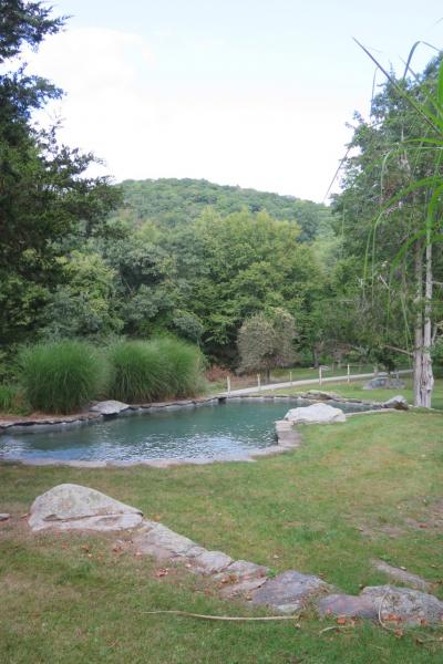 country, rustic, garden, pool, 