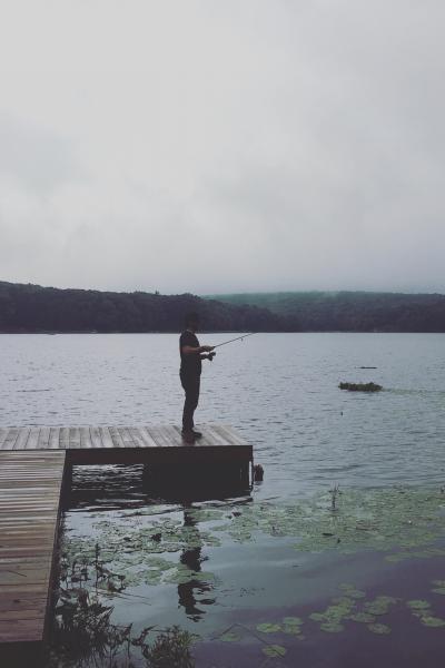 cabin, wooded, lake, water, rural, country, 