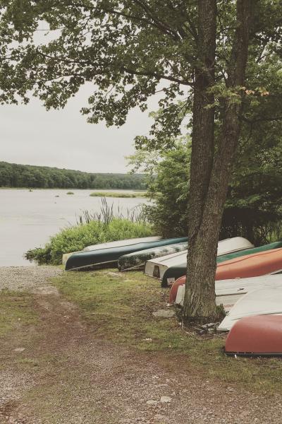 cabin, wooded, lake, water, rural, country, 