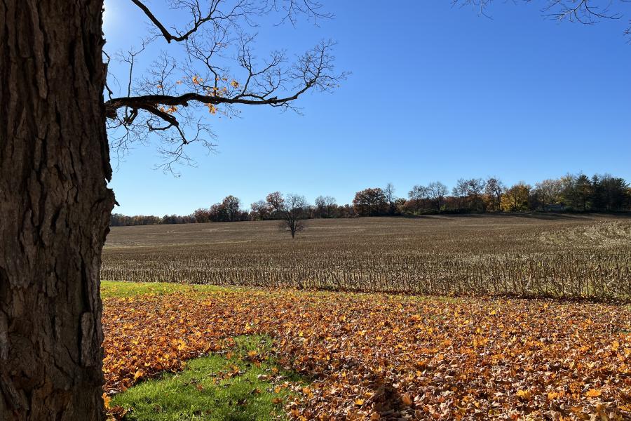 farmhouse, farm, rural, country, field, lake, barn, porch, 