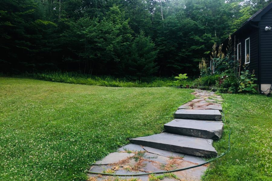 country, wooded, contemporary, pool, deck, 
