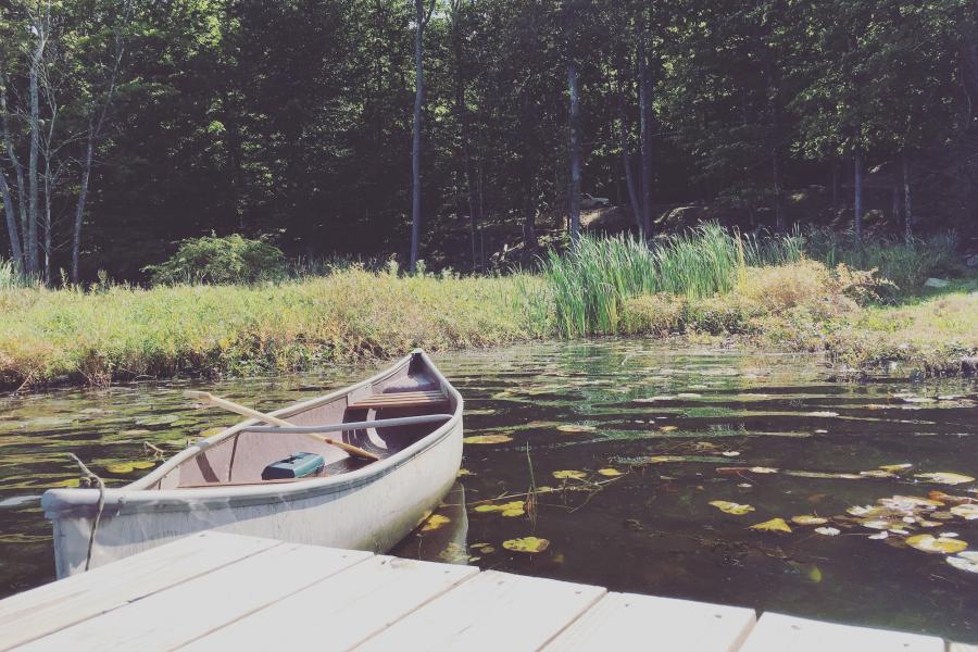 cabin, wooded, lake, water, rural, country, 