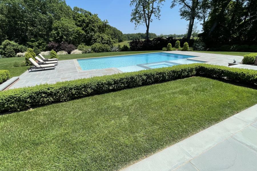 suburban, pool, patio, garden, 