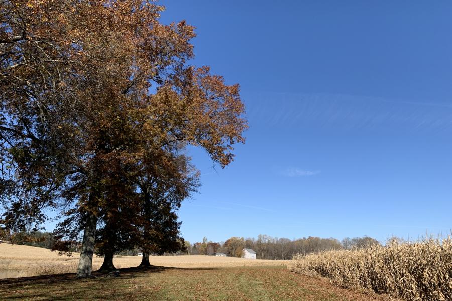 farmhouse, farm, rural, country, field, lake, barn, porch, 