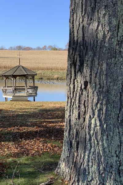 farmhouse, farm, rural, country, field, lake, barn, porch, 