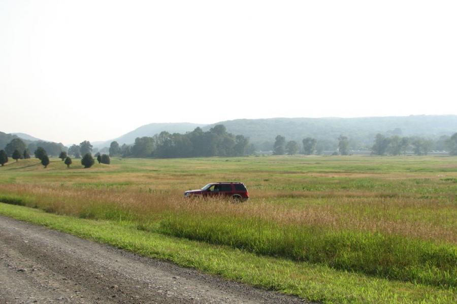 country, farm, horse, rustic, field, barn, 