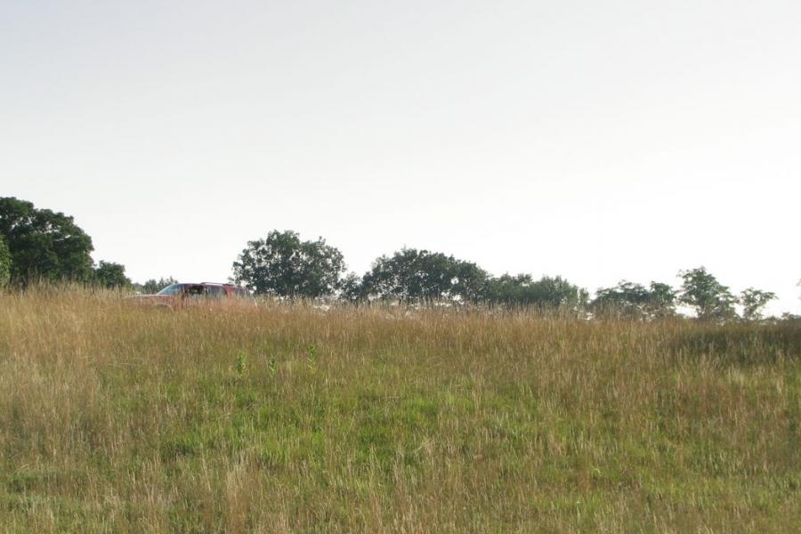 country, farm, horse, rustic, field, barn, 