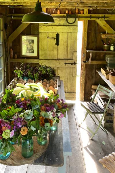 farm, greenhouse, field, rural, country, kitchen, 