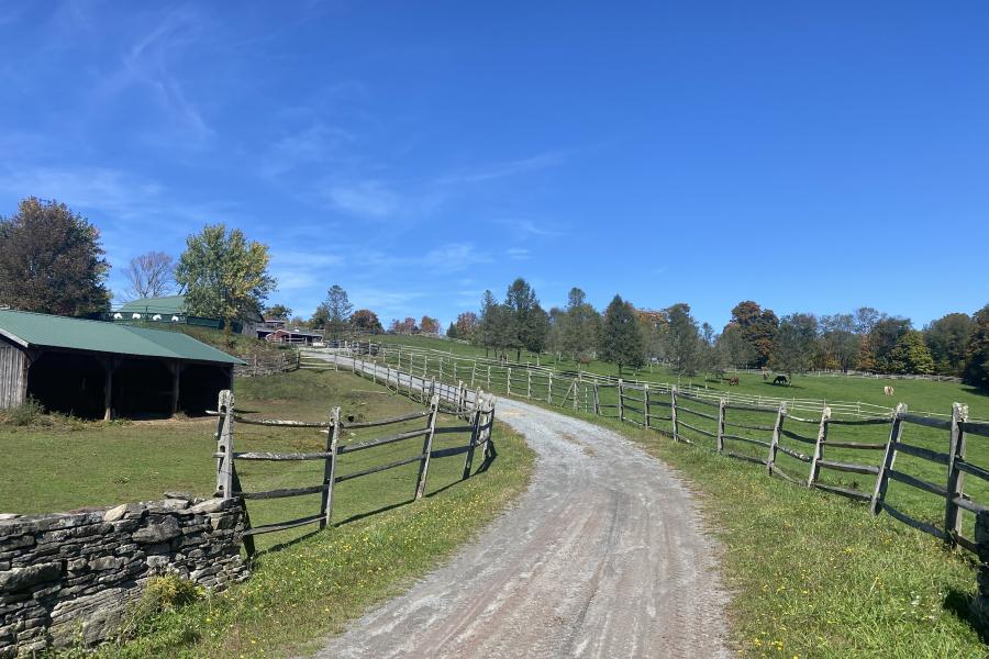 horse, farm, barn, stable, rural, field, lake, 